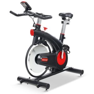Spinningcykel| 21kg svänghjul | Träningsdator | TR300