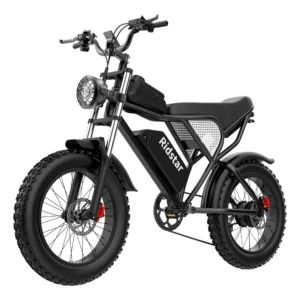 [EU DIREKT] Ridstar Q20 Elcykel 48V 20AH Batteri 1000W Motor Rekommenderad Toppfart 25KM/H 20-tums Däck 70-90KM Max Körs