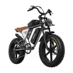 [EU Direkt] JANSNO X70 Elcykel 48V 14AH+20AH Dubbel Batterier 750W Motor Rekommenderad Maxhastighet 25KM/H 20 tum däck 1