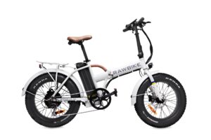 RAWBIKE 4X SNOWSTORM