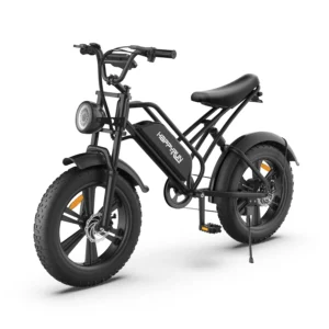[EU DIREKT] HAPPYRUN HR-G50 Elcykel 48V 18Ah Batteri 750W Motor Rekommenderad Toppfart 25KM/H 20-tums Däck 110KM Räckvid