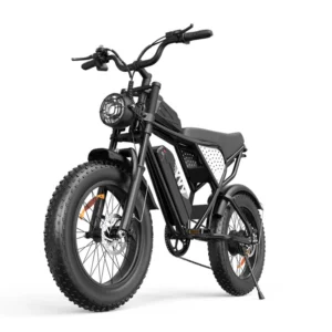 [EU Direkt] YVY C20 Lite Elcykel 48V 15.6AH Batteri 1500W Motor Rekommenderad Toppfart 25KM/H 20*4.0 Tum Däck 80KM Max R