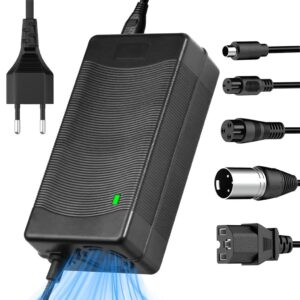 Universalladdare till elcykel, 5-i-1 kontakter, 163.8W