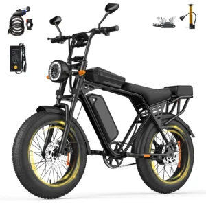 [EU DIRECT] AtlasTrek X5 Elcykel 48V 15Ah 250W Motor 25km/h Maxhastighet 20-tums däck 50-80km räckvidd 200kg Maxlast Avt