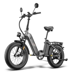 [EU DIRECT] FAFREES FF20 Polar Elcykel med EU L1e-B-certifiering Hydrauliska bromsar 48V 12Ah*2 Dubbel batterier 500W mo