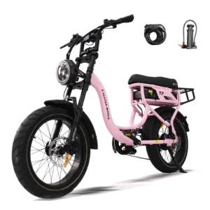 [EU DIREKTIV] T7 elcykel med bakre bagagekorg 48V 18Ah 250W motor 25 km/h maxhastighet 20" däck 70-80 km räckvidd i assi
