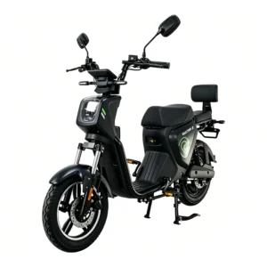 [EU Direct] RACCEWAY STUMP 25 Elcykel, topphastighet 25 km/h och räckvidd 60 km, 500 W 48 V 19 Ah, EEC/COC vägregistreri