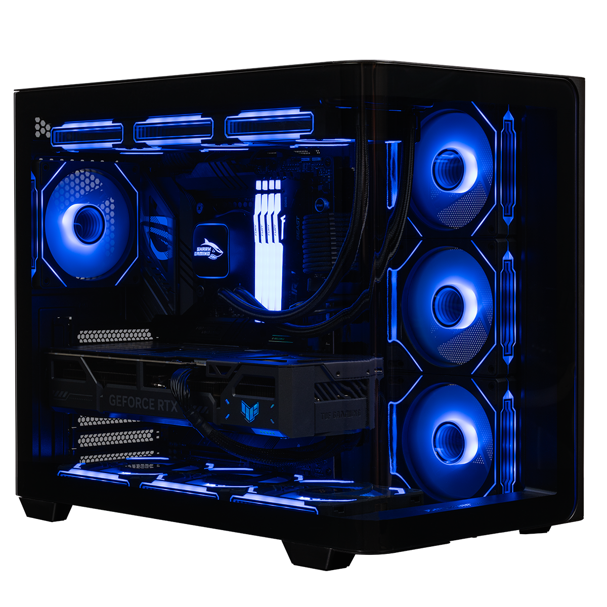 Shark RGBeast Speldator Shark RGBeast Speldator