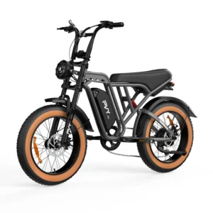 [EU DIRECT] PVY A20 elcykel 48V 20Ah Batteri 250W(olåst 1000W) motor Rekommenderad topphastighet 25 KM/H 20*4,0-tum dä