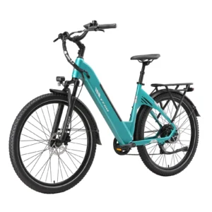 [EU DIRECT] TTGO C5 Elcykel 48V 13.5Ah 250W Motor 25km/h Maxhastighet 27.5-tums däck 110km Max räckvidd 70 N.M Dator Shi