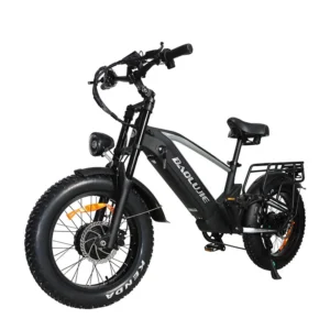 [EU-DIREKT] BAOLUJIE DP2011 Elcykel 48V 20Ah Batteri 1000W*2 Dubbelmotorer Rekommenderad toppfart 25KM/H 20*4.0tums däck