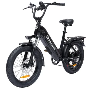 [EU DIREKTIV] Bodywel F20 elcykel 48V 15,6Ah 250W (Topppunkt 1500W) motor Rekommenderad topphastighet 25 KM/H 20 tum däc