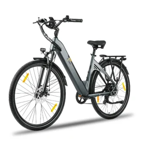 [EU-DIREKTIV] KAISDA K608 Elcykel 36V 20Ah 250W 52N.m Bakmotor Toppfart 25KM/H 28 tums däck Max räckvidd 120km Maxvikt 1