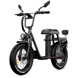 [EU Direktiv] DRVETION ET20 Elcykel Hydrauliska Skivbromsar 48V 20Ah Samsung Batteri 750W Motor Rekommenderad Maxhastigh