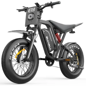 [EU DIRECT] Bluvall R700 elcykel 52V 25Ah batteri 1000W motor, toppeffekt 1500W Rekommenderad topphastighet 25 KM/H 20*4