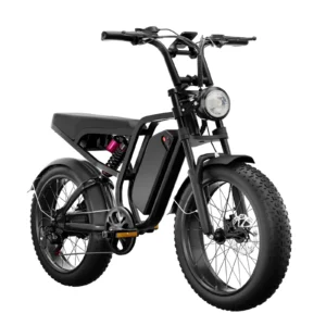 [EU-DIRECT] Bluvall Su8 elcykel 52V 20Ah-batteri 1000W motor toppeffekt 1200W Rekommenderad toppfart 25 KM/H 20x4 tum fe