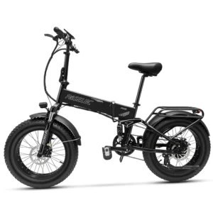 [EU DIRECT] Paselec PX6 Elcykel 48V 12Ah 500W (Topptur 750W) Motor Rekommenderad toppfart 25 KM/H 20x4.0 Fettdäck 40 KM