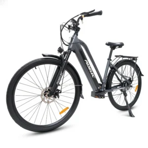 [EU DIREKT] Paselec TX10 elcykel 48V 19,2Ah 250W motor Toppfart 25 KM/t 700x40C däck Räckvidd 100 KM Maxlast 125 kg