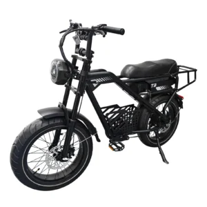 [EU-DIREKTION] T3 elcykel 48V 18Ah 250W motor 25 km/h maxhastighet 20 tum fet däck 60-70 km max räckvidd 150 kg max last