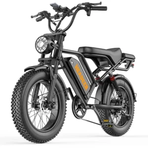 [EU DIREKTIV] HEADEER BK20 Elcykel 48V 20Ah Batteri 750W Motor Rekommenderad topphastighet 25 KM/H Mekaniska skivbromsar