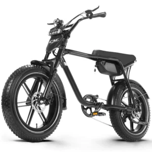 [EU Direct] CMACEWHEEL K20 Elcykel Framolja Olje Fjädergaffel 48V 15AH Batteri 1000W Peak Effekt Motor Rekommenderad Top