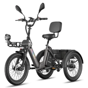 [EU Direct] FAFREES F20 Mate II Elcykel Trehjuling Cargo, 48V 21Ah Batteri, 250W Motor, 750W Peak Effekt, Toppfart 25KM/
