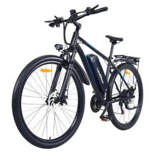 [EU Direct] LandShon K29 Elcykel 48V 16Ah 1000W Motor Rekommenderad topphastighet 25KMH 29 tum däck 50KM räckvidd 150kg
