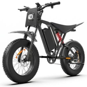 BLUVALL R700 Elektrisk Fatbike, 52V 25Ah Avtagbart Batteri, 20", Svart