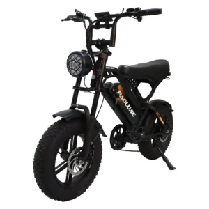 [EU Direct] BAOLUJIE F2 elcykel, 48V 13Ah batteri, 48V 500W motor, toppeffekt 1000W, rekommenderad topphastighet 25 km/t