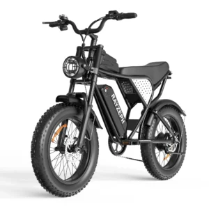 [EU-direktivet] RAYZEPH C20 Lite elcykel, 48V 15,6Ah batteri, 1500W motor, rekommenderad topphastighet 25 km/h, front- o