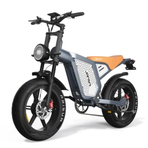 JANSNO X60 Elcykel 48V 23Ah Batteri 750W*2 Dubbel Motorer Rekommenderad topphastighet 25 KM/H 20-tumsdäck 80 KM Max körs