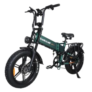 [EU DIREKTIV] BAOLUJIE D2 Elcykel, 48V 20Ah Batteri, 48V 1000W*2 Dualmotorer, Rekommenderad topphastighet 25 KM/T, 20x4,