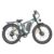 BAOLUJIE DP-2603SJ Elcykel med dubbla motorer för vuxna, 52V 32Ah, 26″ Fatbike, Svart&Grön