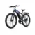 DUOTTS C29M Elcykel, 48V 15Ah Batteri, 750W Motor, Rekommenderad topphastighet 25KM/H, Dubbel oljebroms, Blåtooth APO-st
