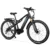 [EU DIRECT] Heda TX TX11 Elcykel 48V 16Ah 1000W Mittmotor Toppfart 25KM/H 29×2.4 tum däck Räckvidd 70KM Maxlast 125kg
