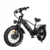 [EU-DIREKT] BAOLUJIE DP2011 Elcykel 48V 20Ah Batteri 1000W*2 Dubbelmotorer Rekommenderad toppfart 25KM/H 20*4.0tums däck