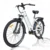 [EU-DIREKT] Heda TX TX520 Elcykel 48V 13AH Batteri 250W Mittmotor 27,5 tum Däck 60-80 km Max Körsträcka 150 kg Max Last