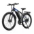 [EU Direct] DUOTTS C29-L Elcykel Smart APP 48V 15AH Batteri 750W Motor Rekommenderad topphastighet 29 tum däck 90KM Max