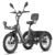 [EU Direct] FAFREES F20 Mate II Elcykel Trehjuling Cargo, 48V 21Ah Batteri, 250W Motor, 750W Peak Effekt, Toppfart 25KM/