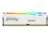 Kingston FURY Beast RGB – DDR5 – sats – 32 GB: 2 x 16 GB – DIMM 288-pin – 5600 MT/s / PC5-44800 – CL36 – 1.25 V – ej buffrad – on-die ECC – vit