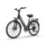 URLIFE E26 Elcykel för vuxna 750 W Motor, 48 V 10,4 Ah Elcykelbatteri 26 tums Fatbike Elcykel